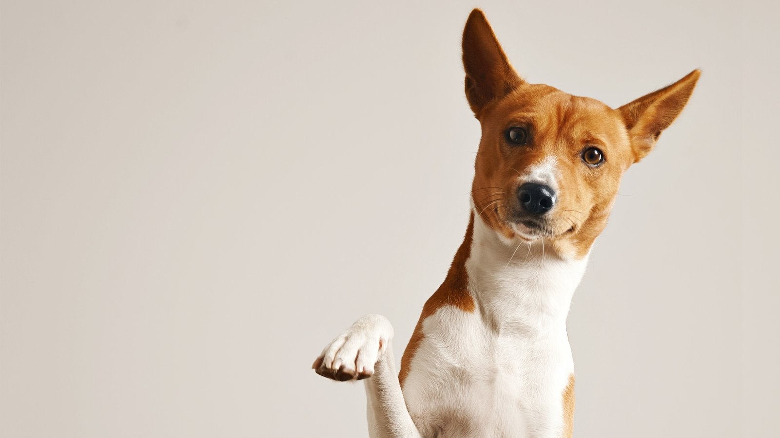 Client loyalty in 2023: what can firms control?