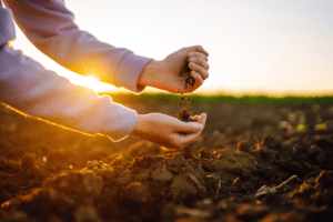 Hands silhouetted at sunset, holding dirt and pouring between each other - a metaphor for growth with Beaton Debrief