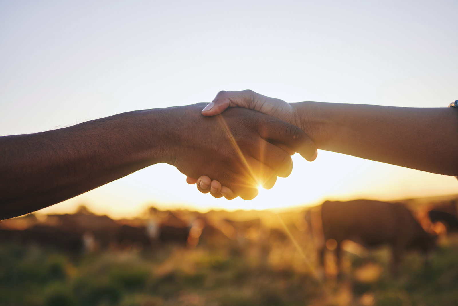 Two hands shake hands with a sunset behind them